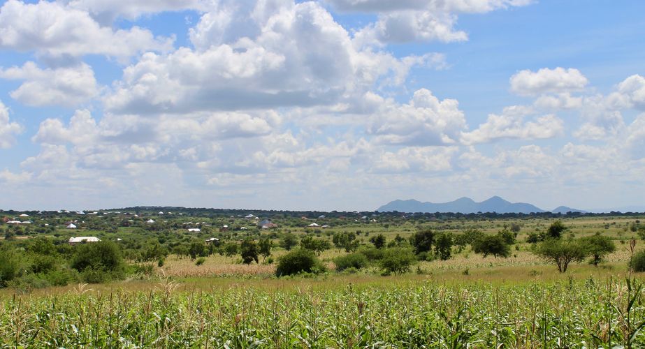 Tanzaniaanse landschappen